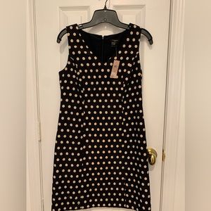 NWT - Ann Taylor Navy & Tan Polka-Dot Sleeveless dress Size 2P